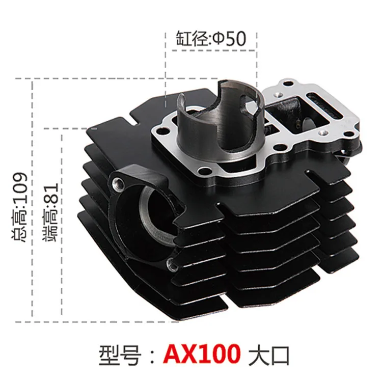 AX100 .jpg