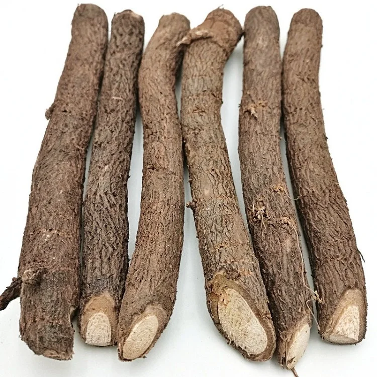 
China hybrid paotong fortunei and tomentosa hybrid royal empress tree paulownia seedling root seeds for planting 
