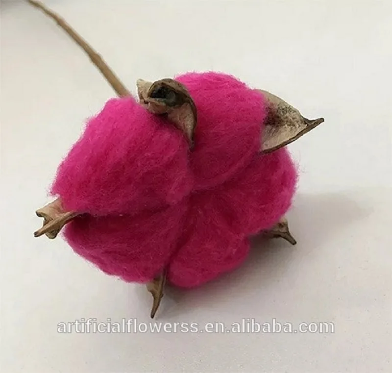 Cotton-Flower (5).jpg