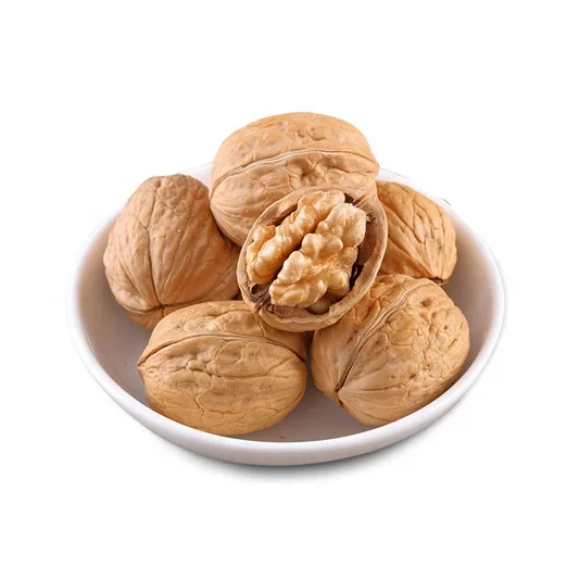 
bulk sell california walnuts xinjiang in shell 