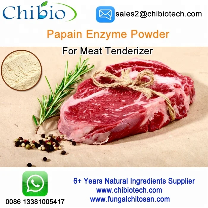 Pure Natural Enzyme Papain Powder Price With Minimum 650 Tu/mg For Meat