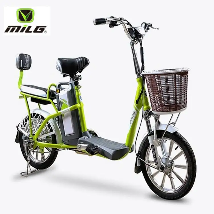 

2019 More Popular Style 48V electric bicycle for road