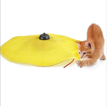 cat toy electric