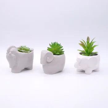 Garden Decor Elephant Shaped Animal Flowr Pot Small Cute Ceramic