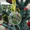 Transparent glass balls with plants for wedding decoration