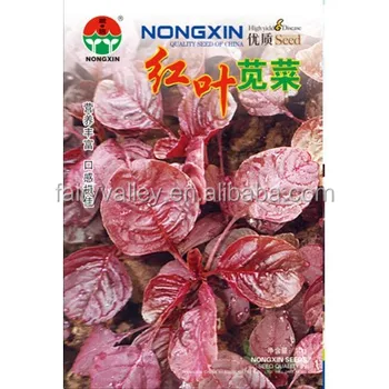 Chinese High Quality Red Leaf Amaranth Seed For Growing ...