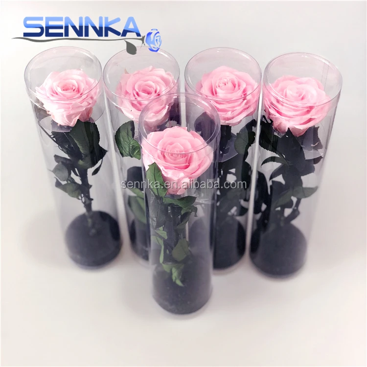
Fresh Produce Mexico Long Stem Pink Flowers Real Touch Rose Flowers 