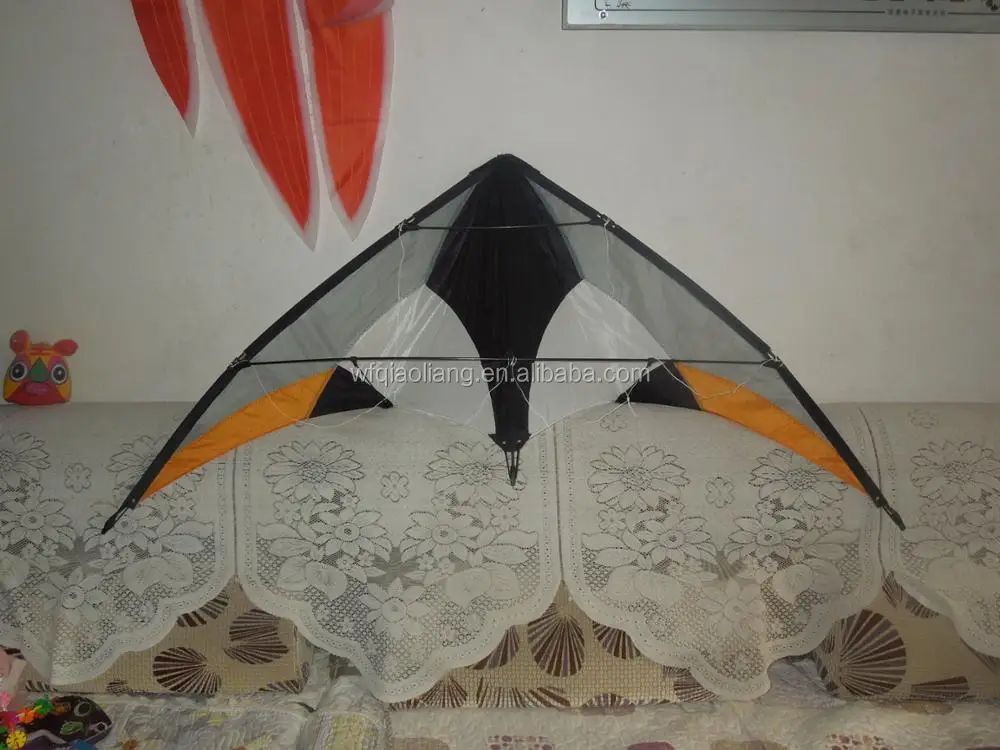 DSCN4093