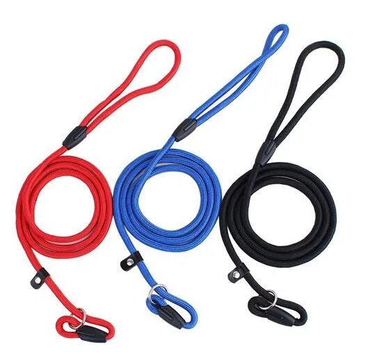 

WIIPU Pet Dog Nylon Rope Training Leash Slip Lead Strap Adjustable Traction Collar, 4 colors