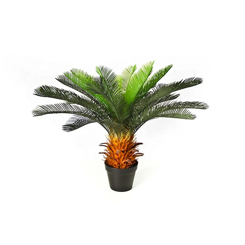 Cycas Revoluta Bulbs With King Sago Palm Artificial Cypress Tree Cycas Revoluta Bulbs With King Sago Palm Artificial Cypress Tree