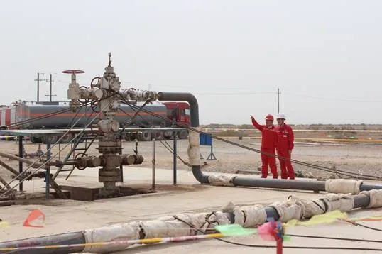 rig,mud pump,rotary table,drilling swivel,travelling block hook