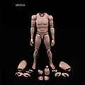 New 1 6 Action Figure Male Body Caucasian Skin MX02 A In Stock