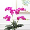 12 Heads 2 Stems Artificial Real Touch Latex Orchid Flower Phalaenopsis Dendrobium Orchid Plants for Sale