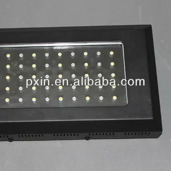 Pinxin 120 Watt It2080 Zeeaquarium Led-verlichting 55*3w - Buy ... Pinxin 120 Watt It2080 Zeeaquarium Led-verlichting 55*3w - Buy ...