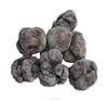 /product-detail/new-matured-wild-frozen-truffle-all-kinds-of-mushroom-720475243.html