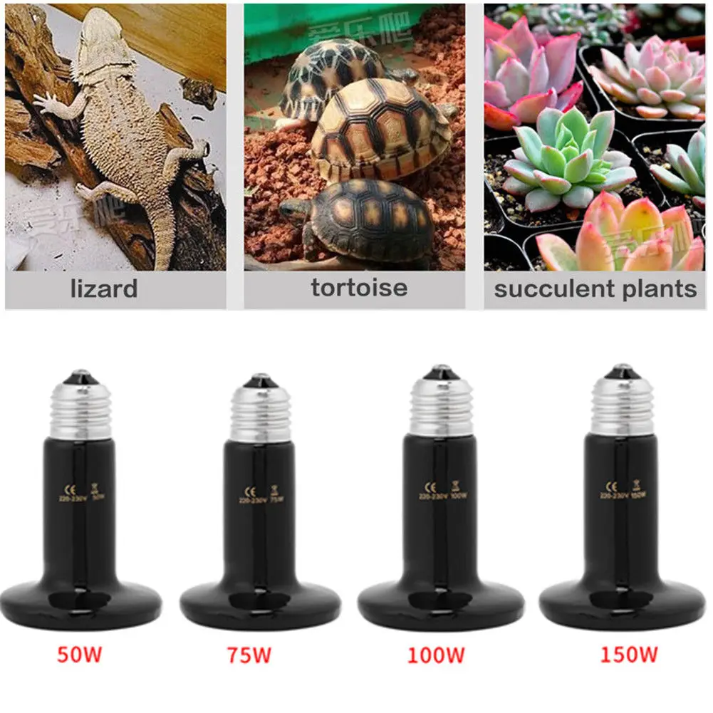 Best Pet Ceramic Infrared Heat Lamp Pet Small Animal For Winter Heating
