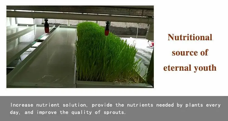 hydroponic fodder trays microgreen tray hydroponic equipment /hydroponic system