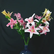 Get Arranjos florais tematicos da praia Free HD