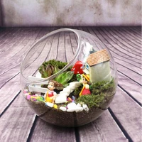 

Glass Ball vase Tabletop Air Plant Display Globe Wholesale glass hanging terrarium for Home Decoration