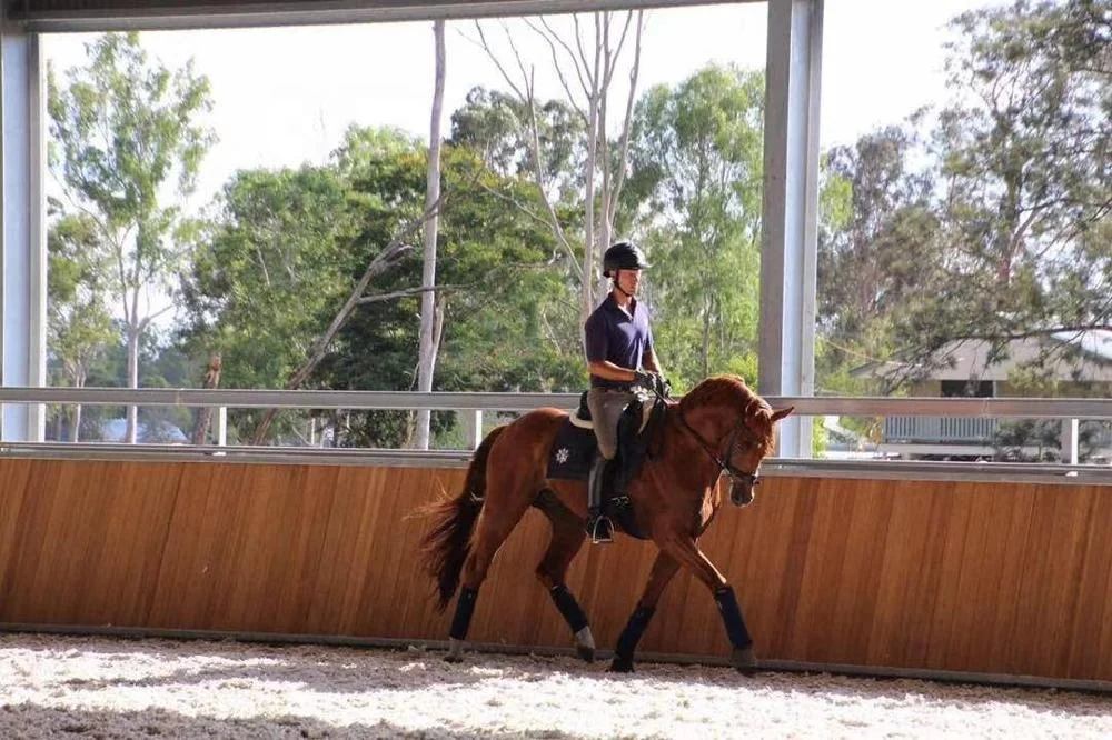 
stable bamboo board for arena 