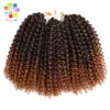 Hair Expo Mall 8-12inch Kinky Curly Crochet Hair Synthetic Braiding Hair Extensions Marleybob Crochet Braids 60 strands/pack