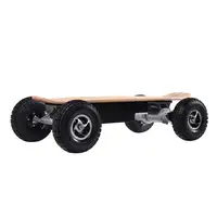 

YongKang 2600W 4WD World's Fastest Big Wheel 30mph Adult Sport Off-road Electric Skateboard With Removable Battery