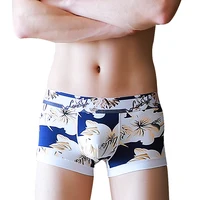 

OEM Ice Silk Mesh Breathable Sexy Transparent Men Underwear