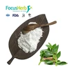 FocusHerb Andrographolide Extract