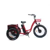 /product-detail/24-inch-green-power-48v-500w-3-wheels-adult-electric-tricycle-for-adults-60712444942.html