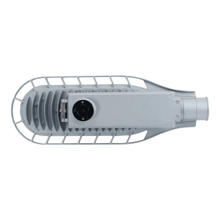 lsl067-100w (2).jpg