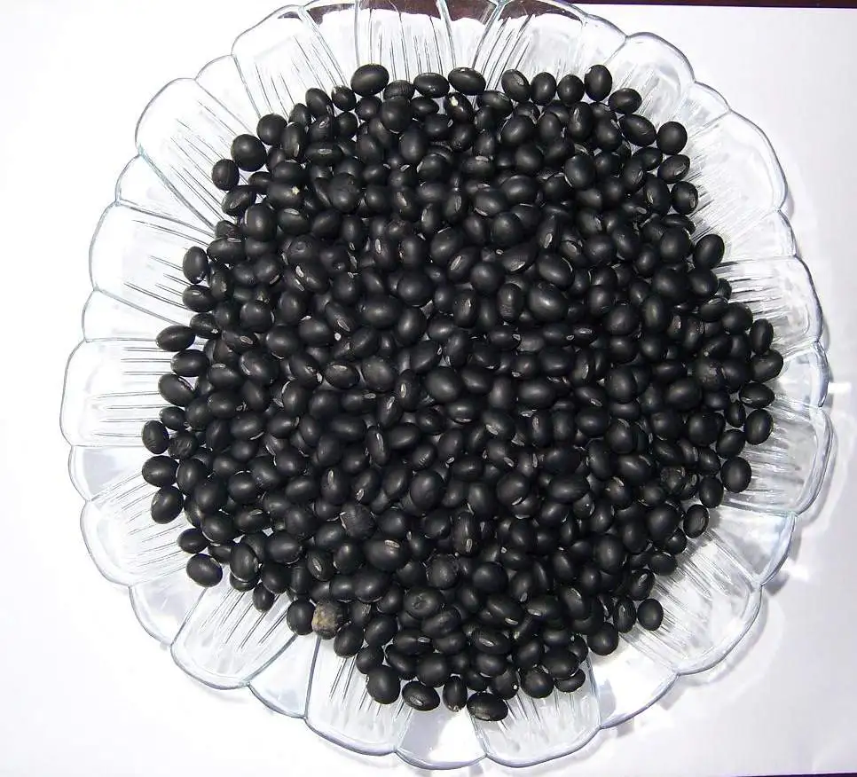 Черная фасоль Бразилия. Ферментированные черные Бобы. Фасоль в Бразилии. Малая черная. Small black