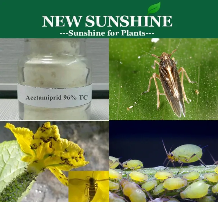 Acetamiprid 96%.jpg