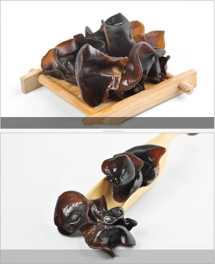 black_fungus (1)