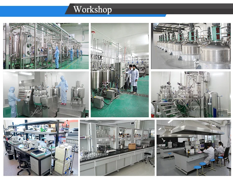 
Best sale 99% Lyrica Pregabalin powder 4 Methyl pregabalin Lyrica Raw Material 