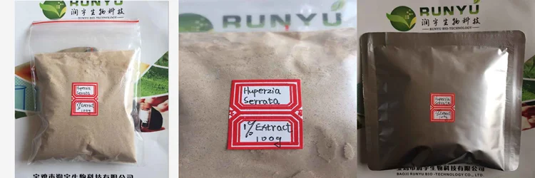 Hot selling huperzia serrata extract huperzia serrata, huperzine powder, huperzia serrata extract