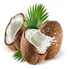 extra virgin cold pressed organic coconut oil for Massage, Moisturizing Skin & Hair