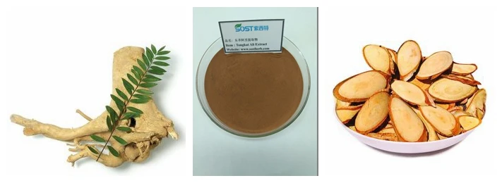 Chinese Supplier Wholesale Tongkat Ali Capsules Extract