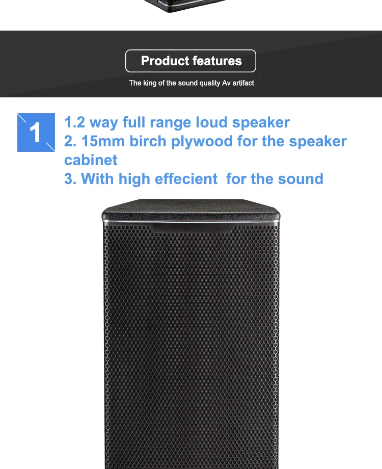 The Live Sound System 12inch Main Speaker Buy Pro Sound Equipment Sale,Live Sound Speakers For