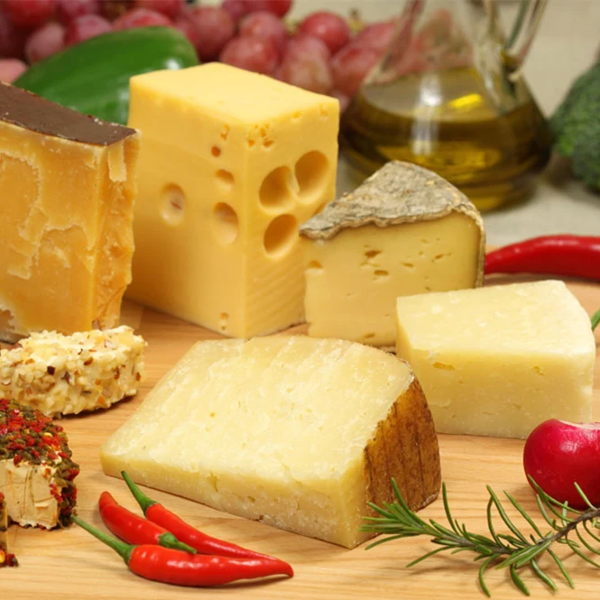 Можно ли белкам сыр