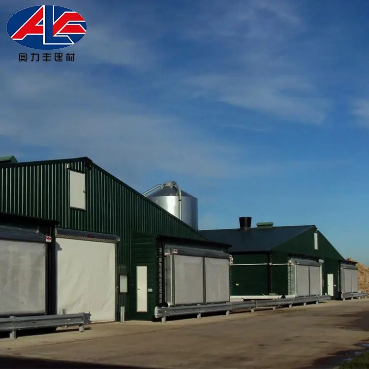 Steel Structure Design Poultry Farm Shed Structures Building