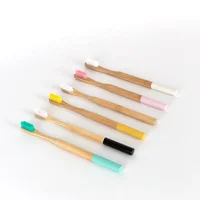 

Manufacturer Wholesale Private Label Logo Nylon Bristle 4 Pack Set Eco Natural Biodegradable Bamboo Fiber Toothbrush with Case