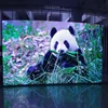 P8 led message