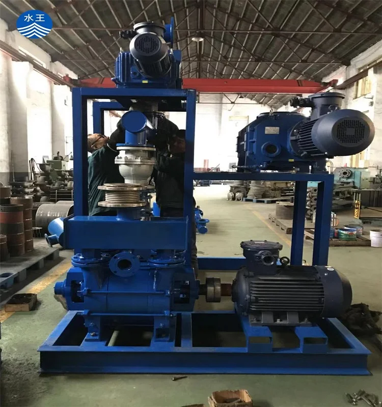Exhaust Liquid Ring Vacuum Pump Hydrogen Production Equipment Buy