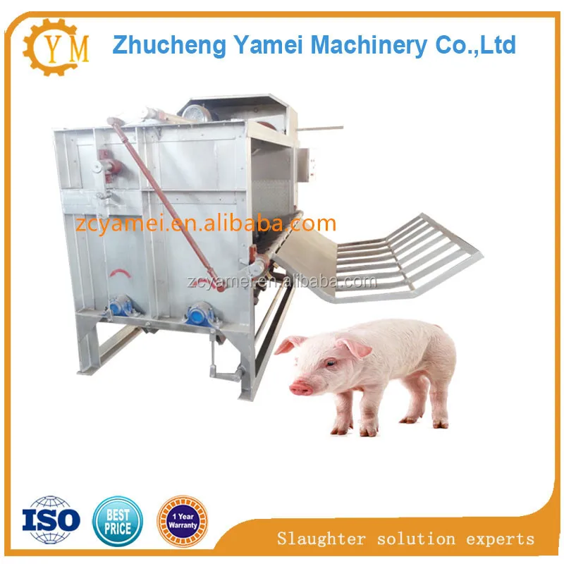 
pig dahairing machine /pig slaughter machine 
