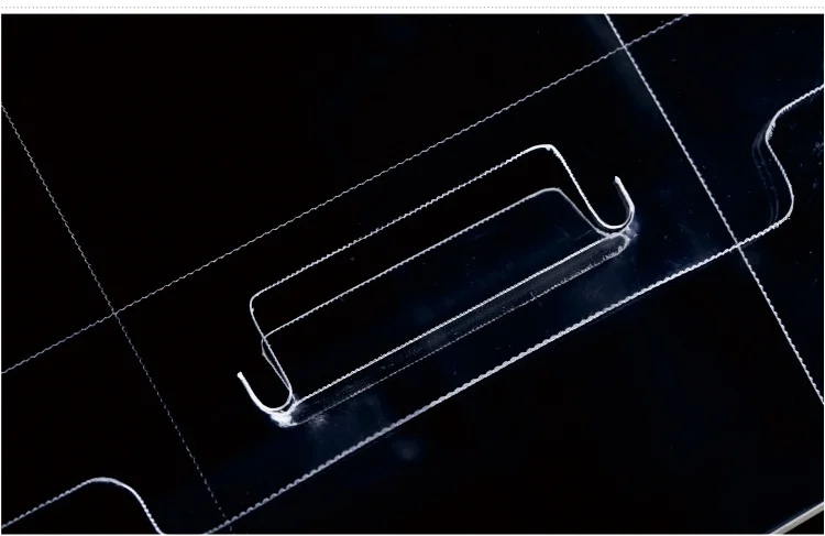 Bio-degradable 5 inch clear plastic PET mini cake box with handle