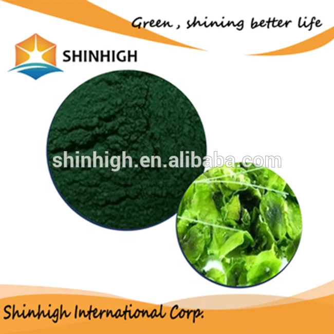 spirulina-powder-protein