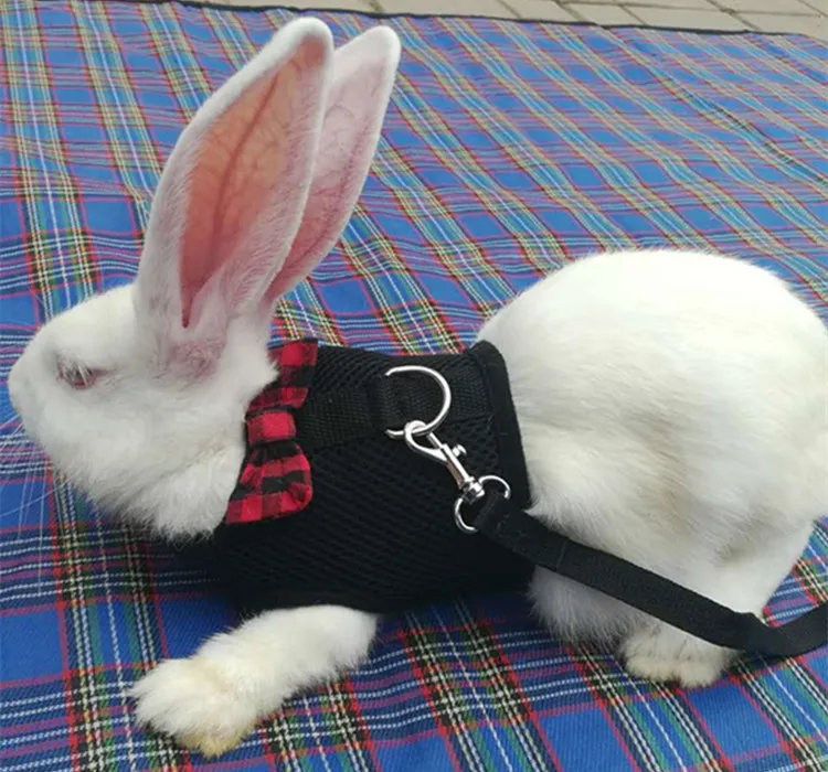 Mesh Small Pet Rabbits Vest Harness With Leash For Hamster Bunny Chest Strap Harnesses Buy Xxl
