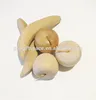 Hot sell Unfinished wooden shapes Wood Fruit Decoration made in China