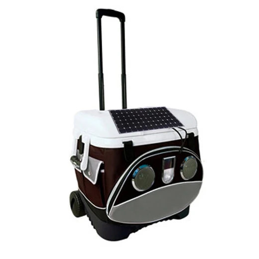 solar powered cooler bag