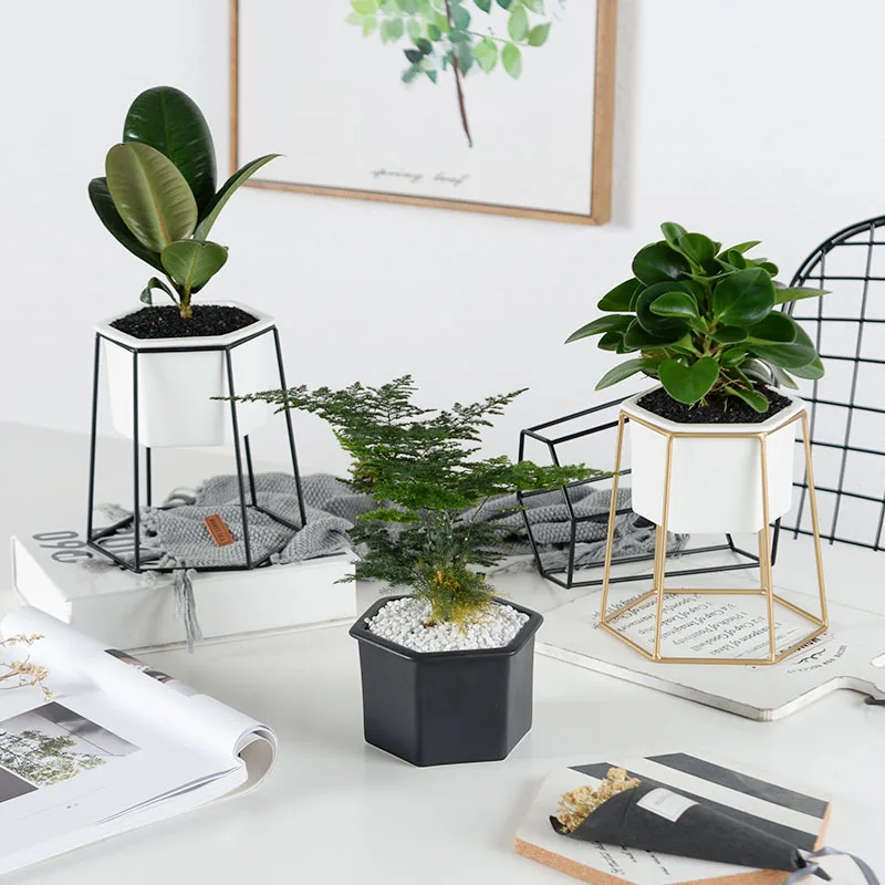 Aphacatop Set Of 3 Living Room Modern Decorative Desktop Ceramic 